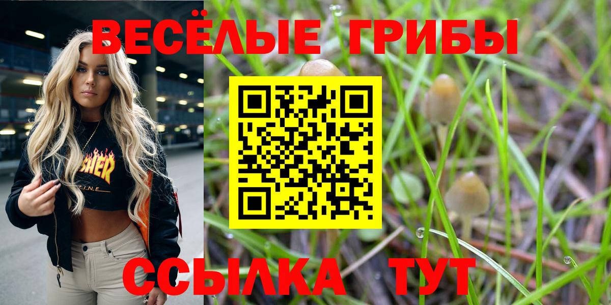Галлюциногенные грибы прущие грибы  Вход с VPN  Дагестанские Огни 